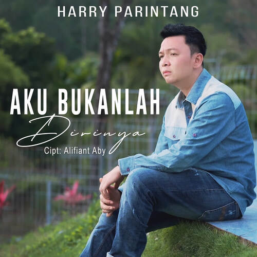 Harry Parintang - Aku Bukanlah Dirinya