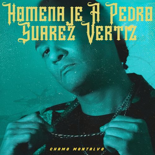 Homenaje A Pedro Suarez Vertiz cover art