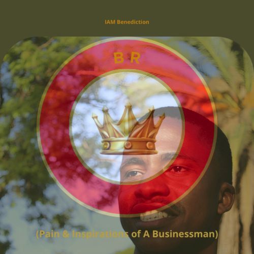 Mr Possible cover art
