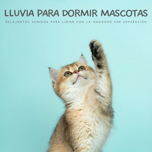 Tiempos Relajantes cover art