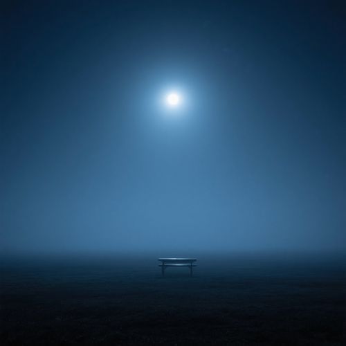 Midnight Zen State cover art