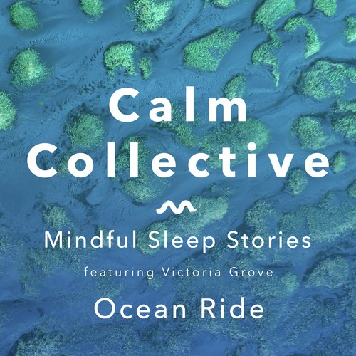 Calm Collective