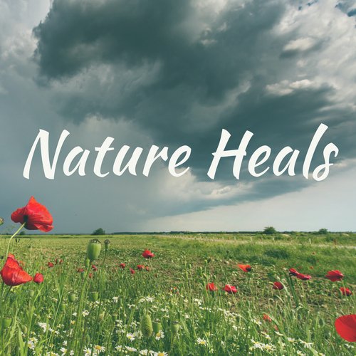 Nature Heals_poster_image