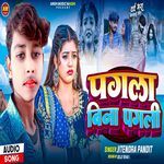 Pagla Bina Pagli