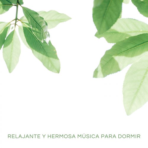 Música y Meditación cover art