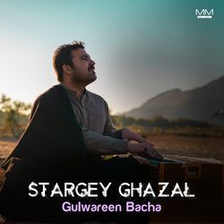 Stargey Ghazal-Cjg8BgxDRUM