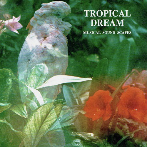 Tropical Dream (Musical Soundscapes)