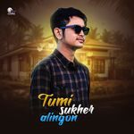 Tumi Sukher Alingon