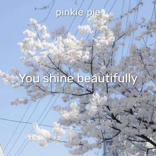 You Shine Beautifully_poster_image