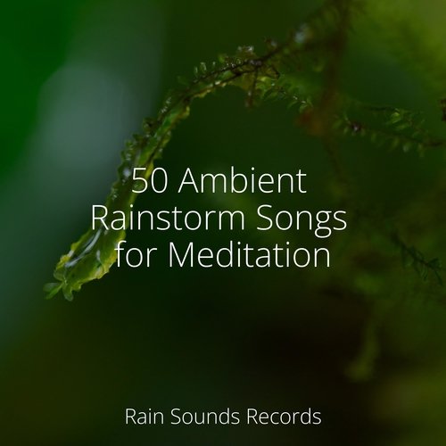 50 Ambient Rainstorm Songs for Meditation