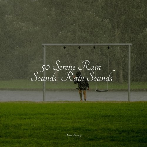 Rain, Storm and Thunder cover art