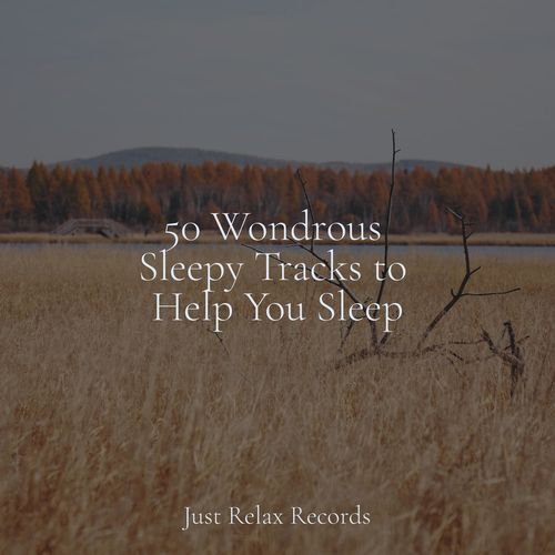 50 Wondrous Sleepy Tracks to Help You Sleep