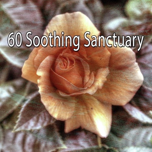 60 Soothing Sanctuary