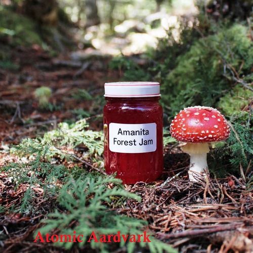 Amanita Forest Jam cover art