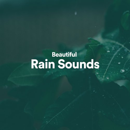 Raindrops Sleep cover art