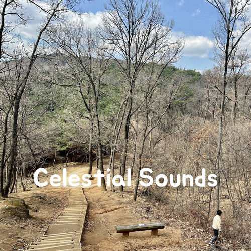 Celestial Sounds cover art