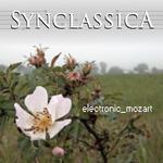 Symphony No. 40 in G Minor, K 550: I. Molto Allegro artwork