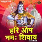 Hari Om Namah Shivay