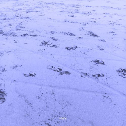 Hyacinth (Prologue to Three Stages of Unhappiness at the Remains And...)