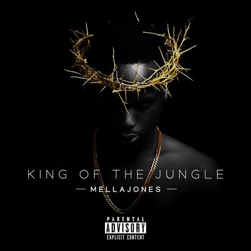 King Of The Jungle Lyrics Mellajones Only On Jiosaavn