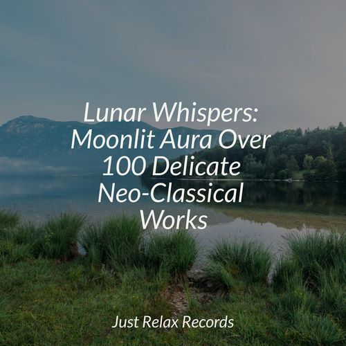 Lunar Whispers: Moonlit Aura Over 100 Delicate Neo-Classical Works