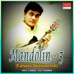 Mandolin - 5