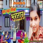 Mera Padha Likha Bhartaar