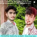 Mohabbat malya ka su karli (Rajasthani)