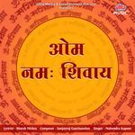Om Namah Shivaya 108 Times