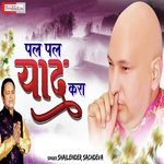 Pal pal yaad kara mai tennu (Punjabi)