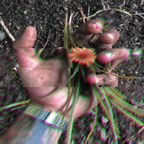 Reis cover art