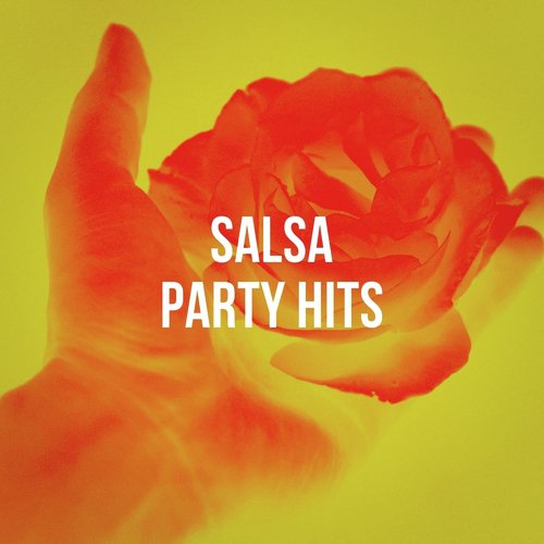 Salsa Party Hits