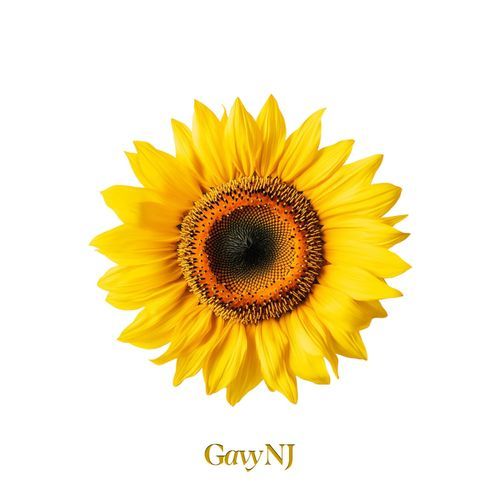 Sunflower (2026)