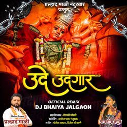 Ude Udagar { Official Remix }