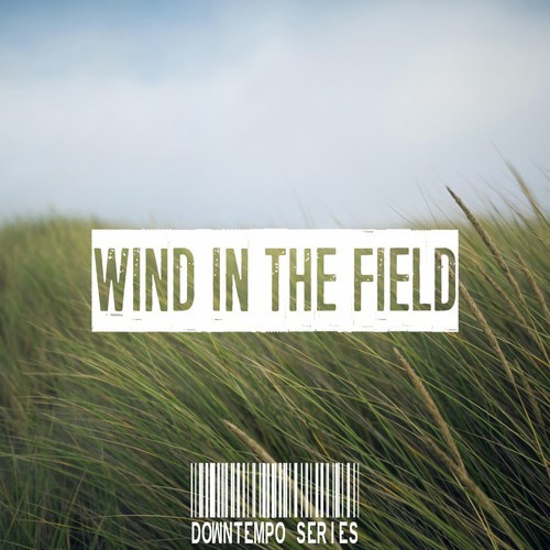 Take Me Away Gysnoize Remix Song Download From Wind In The Field Downtempo Series Jiosaavn