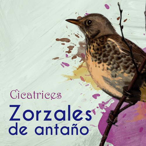 Zorzales de Antaño / Cicatrices