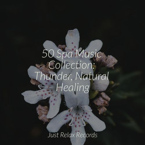 50 Spa Music Collection: Thunder, Natural Healing