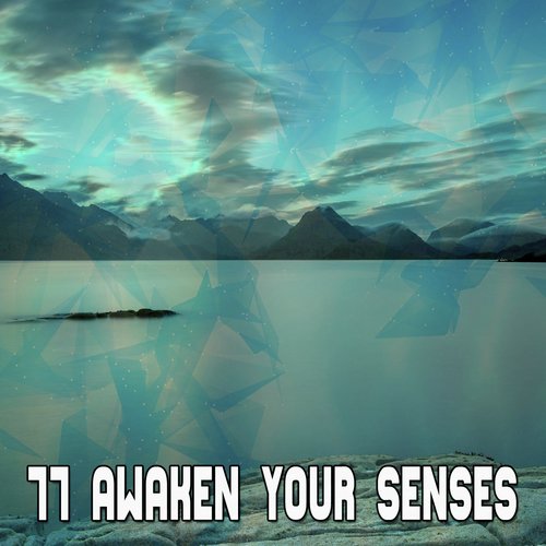 77 Awaken Your Senses