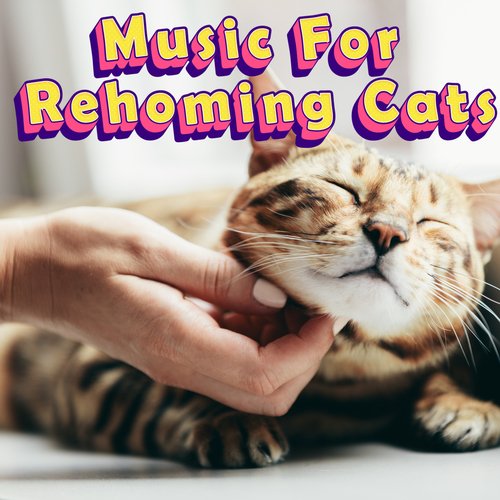 Cat Music Therapy cover art