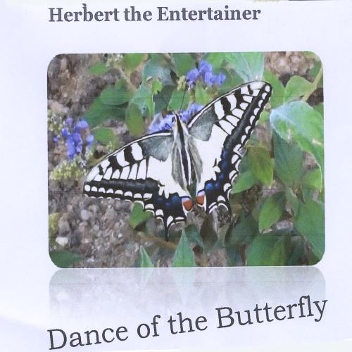 Dance of the Butterfly_poster_image