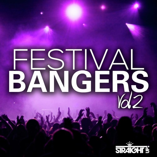 Festival Bangers Vol. 2