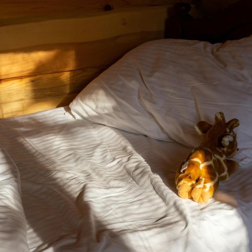Lullaby for My Beloved Pet