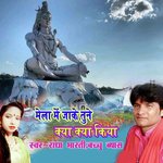 Mela Me Jake Tune Kya Kya Kiya