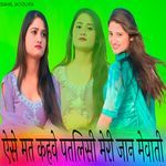 ऐसे मत कहवे पतलिसी मेरी जान मेवाती