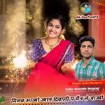 मिलब आज्यो ज्यान दिवाली प चैन ले जाज्यो