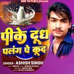 Pike Dudh Palang Pe Kud