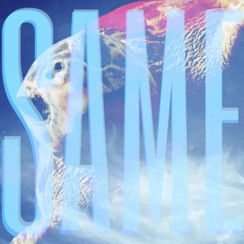 Same cover art