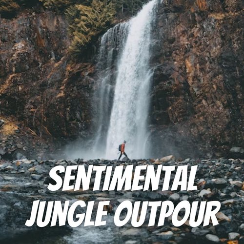 Sentimental Jungle Outpour