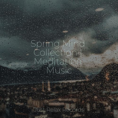 Spring Mind Collection | Meditation Music_poster_image