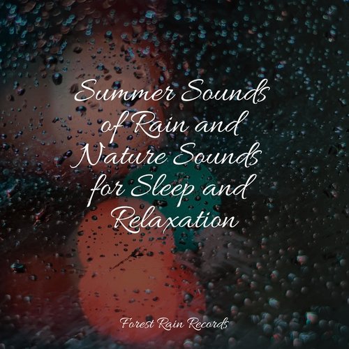 Rain, Storm and Thunder cover art